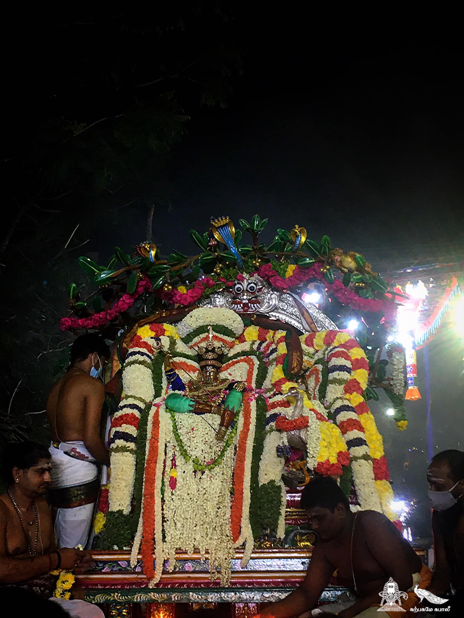 திருமயிலை அருள்மிகு கபாலீஸ்வரர்  பங்குனி   திருவிழா